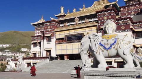 TIBET, FDI: PREOCCUPA ARRESTO 80 CITTADINI TIBETANI DA PARTE DI PECHINO