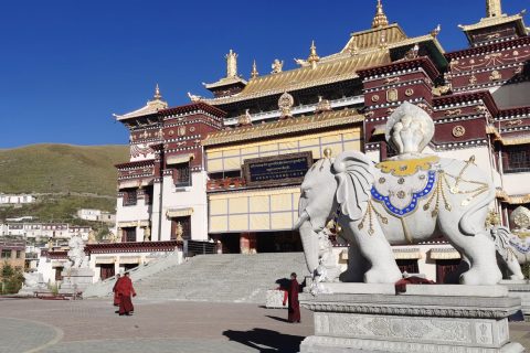 TIBET, FDI: PREOCCUPA ARRESTO 80 CITTADINI TIBETANI DA PARTE DI PECHINO